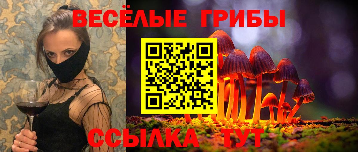 Куйбышев  Псилоцибиновые грибы прущие грибы  Вход с VPN 